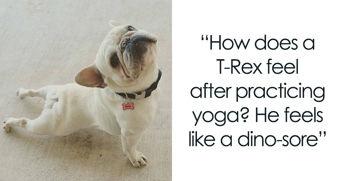 Funny Yoga Jokes And Puns That Will Have You Rolling On The Yoga Mat