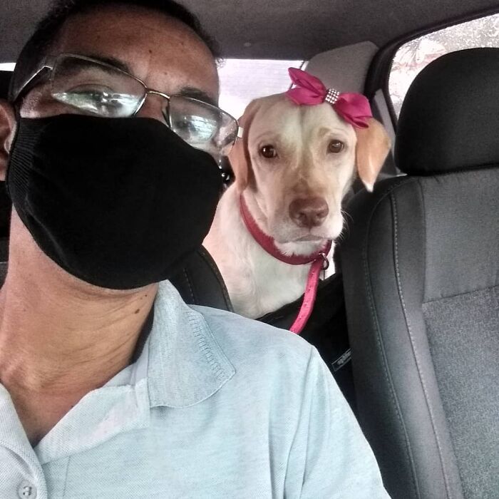 Meet Hamilton, The Driver Who Takes Selfies With His Animal Passengers (40 Pics)