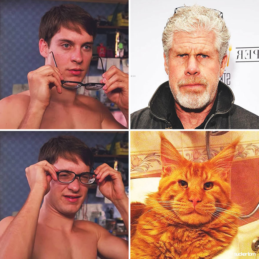 Ron Perlman Ron Perlman