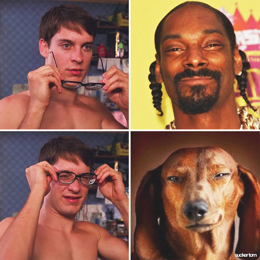Snoop Dog Snoop Dog