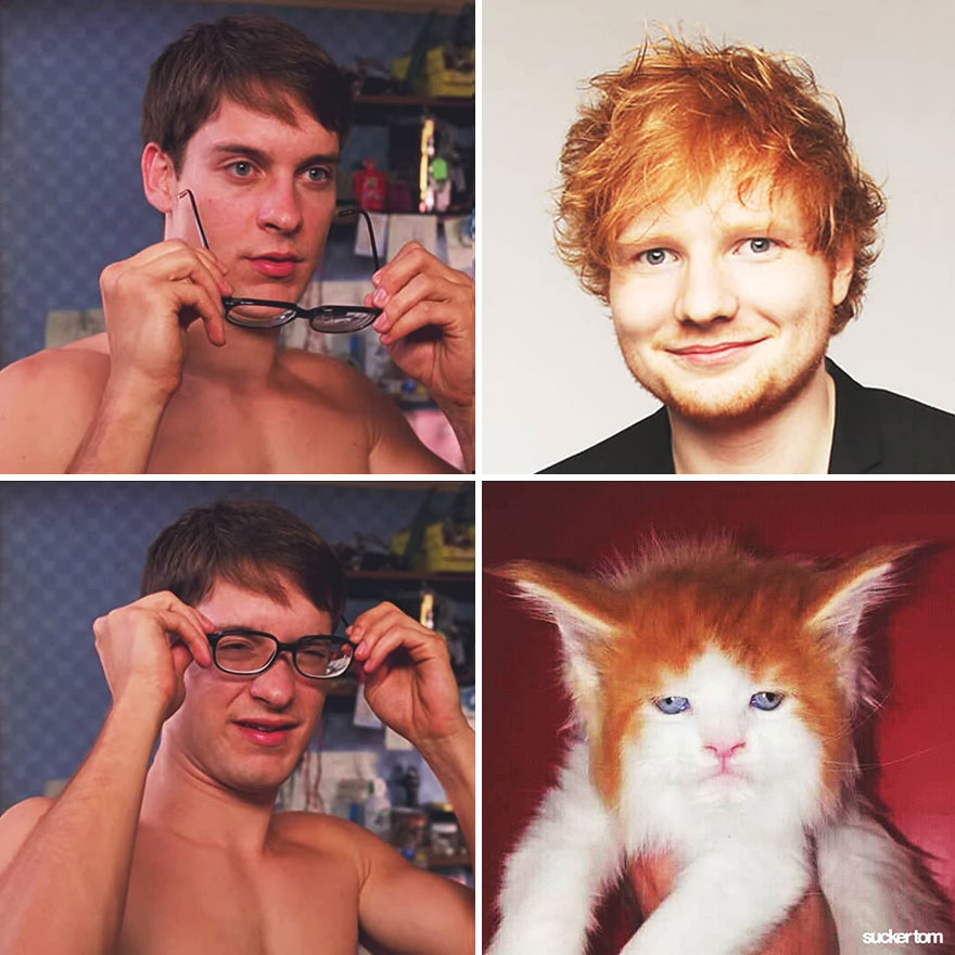 Ed Sheeran Ed Sheeran