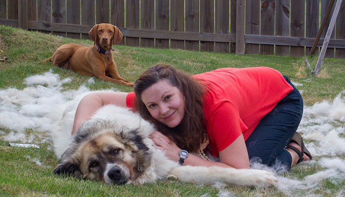 Every Private Tenant In UK To Get Legal Right To Keep A Pet In “Biggest Shake-Up Of The Private Rented Sector In 30 Years” Every Private Tenant In UK To Get Legal Right To Keep A Pet In “Biggest Shake-Up Of The Private Rented Sector In 30 Years”