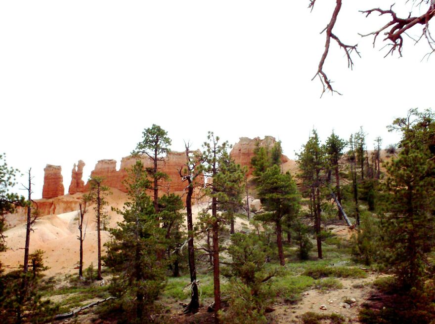 My Trip To Bryce Canyon National Park (22 Pics) My Trip To Bryce Canyon National Park (22 Pics)