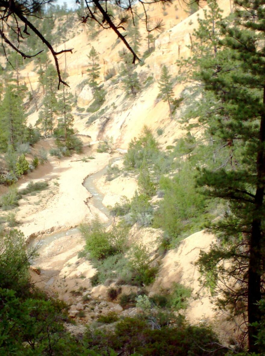 My Trip To Bryce Canyon National Park (22 Pics) My Trip To Bryce Canyon National Park (22 Pics)