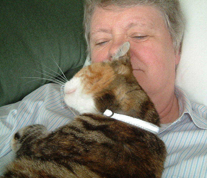 Every Private Tenant In UK To Get Legal Right To Keep A Pet In “Biggest Shake-Up Of The Private Rented Sector In 30 Years” Every Private Tenant In UK To Get Legal Right To Keep A Pet In “Biggest Shake-Up Of The Private Rented Sector In 30 Years”