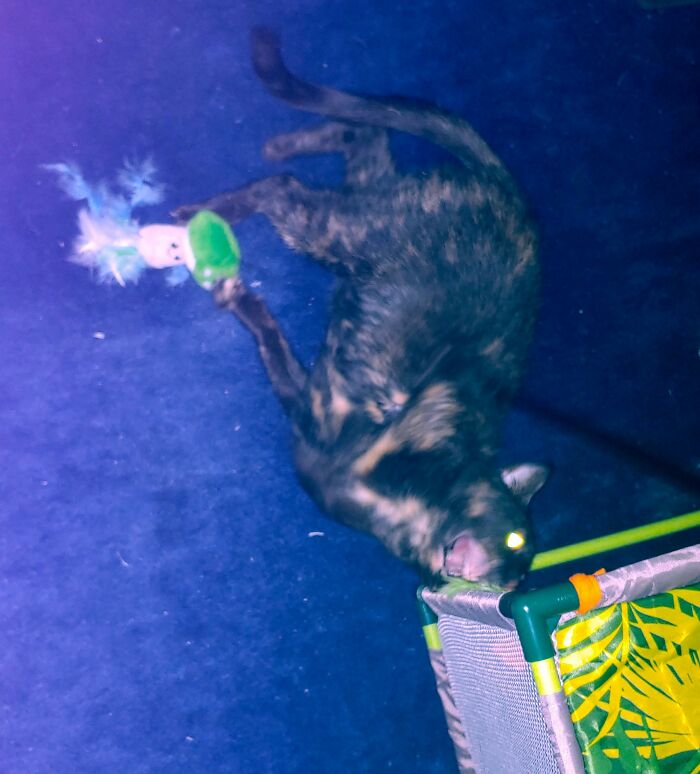 Nothing Will Escape Her Wrath!