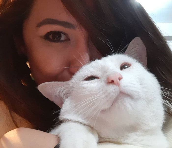 Stray Cat Begging For Food At A Store Melts This Woman's Heart, So She Adopts It And Shares Its Glow Up On Instagram Stray Cat Begging For Food At A Store Melts This Woman's Heart, So She Adopts It And Shares Its Glow Up On Instagram