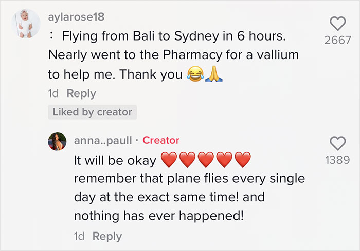 Woman Shares An Example Of Why Turbulence Should Not Scare You And Millions Find It Helpful Woman Shares An Example Of Why Turbulence Should Not Scare You And Millions Find It Helpful