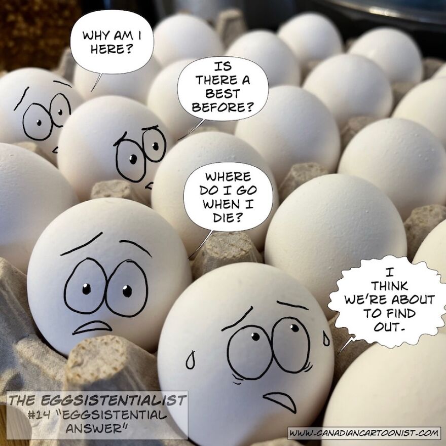 "Eggsistential Answer"