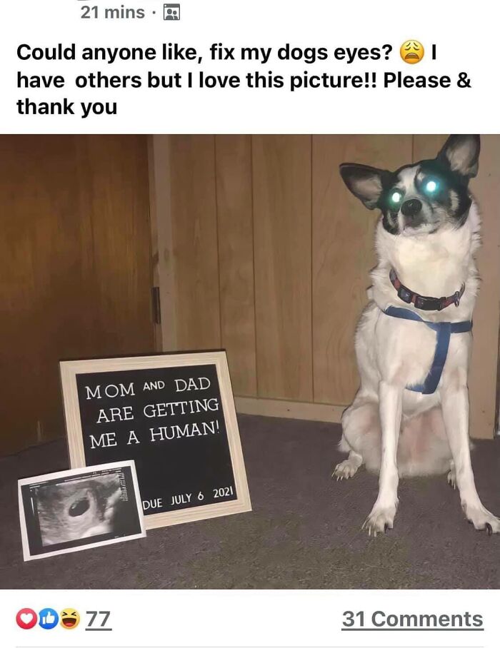 At Least They Didn’t Spell It “Hooman”