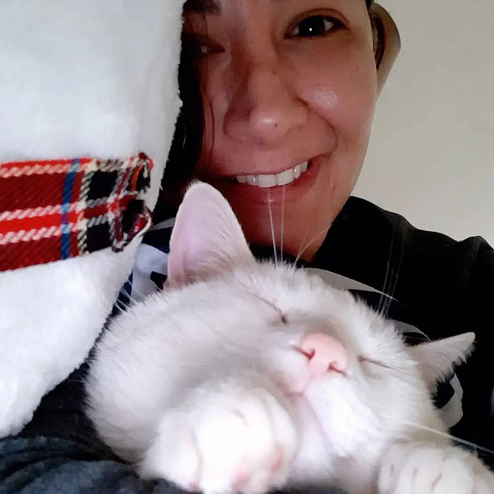 Stray Cat Begging For Food At A Store Melts This Woman's Heart, So She Adopts It And Shares Its Glow Up On Instagram Stray Cat Begging For Food At A Store Melts This Woman's Heart, So She Adopts It And Shares Its Glow Up On Instagram