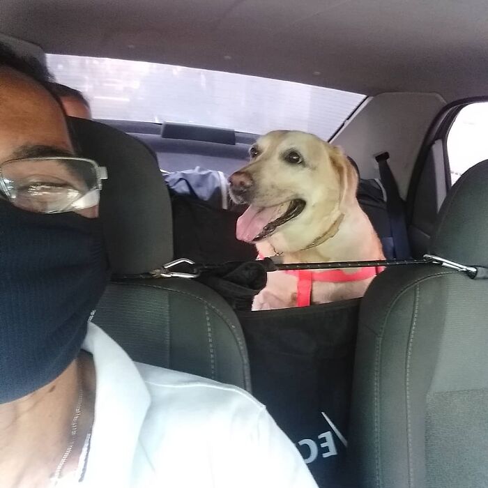 40 Selfies This Guy Has Taken With The Passengers Of His “Pet Taxi” Business