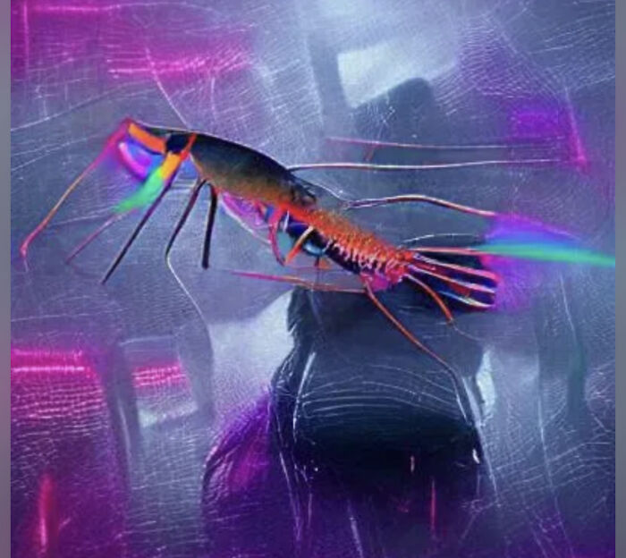 Asexualshrimp. I Didn’t Know A Shrimp Could Look So Cool