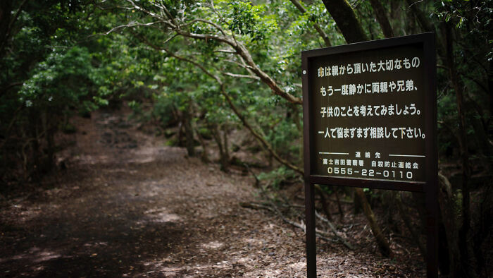 Japan, There Are So Places I'd Love To Visit, But I'm Most Intrigued By Aokigahara Woods. It's Supposedly Haunted.