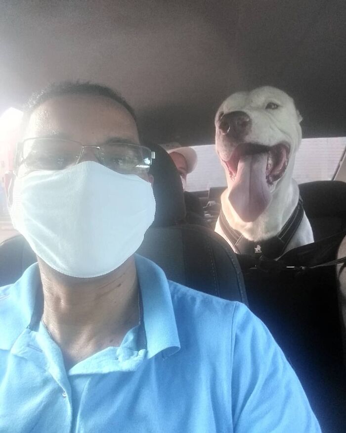 40 Selfies This Guy Has Taken With The Passengers Of His “Pet Taxi” Business
