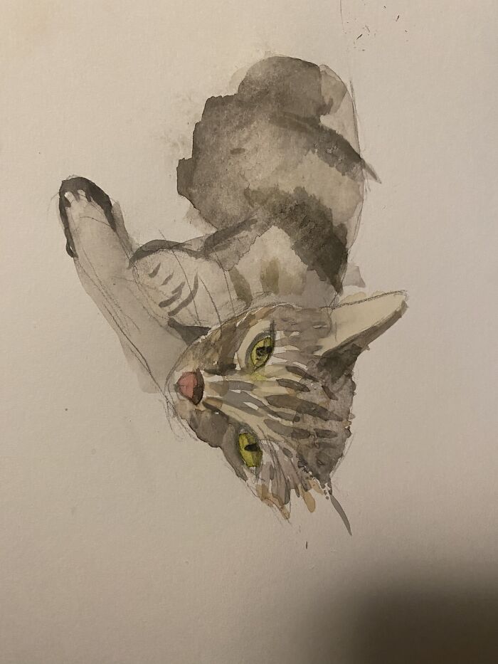 Painting For My Friends Birthday Of Her Cat, Lola