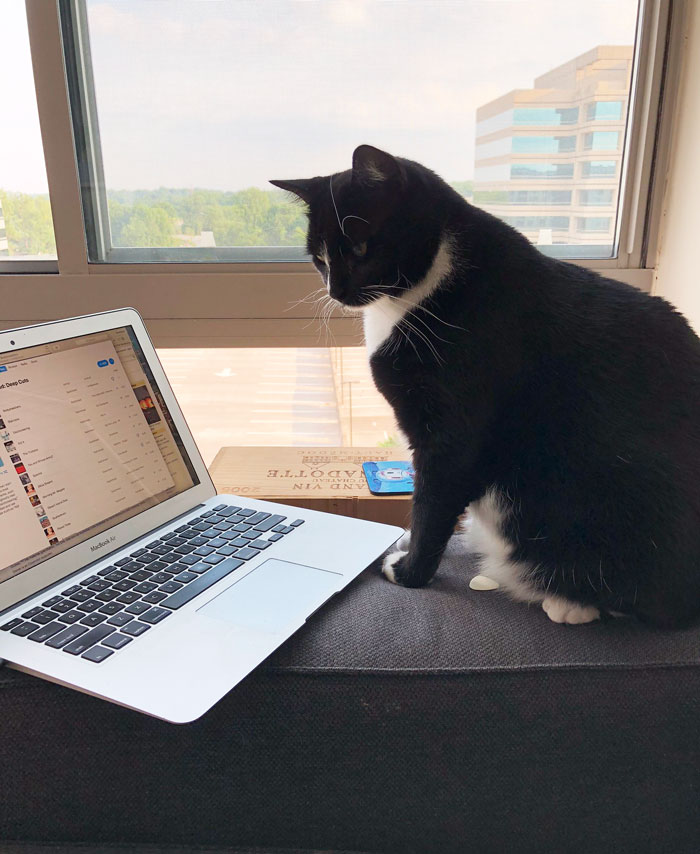 This Boss' Plan To Set New Password Policy Goes Wrong As Helpdesk Maliciously Complies And Make Them Change Their Password 12 Times In A Row This Boss' Plan To Set New Password Policy Goes Wrong As Helpdesk Maliciously Complies And Make Them Change Their Password 12 Times In A Row