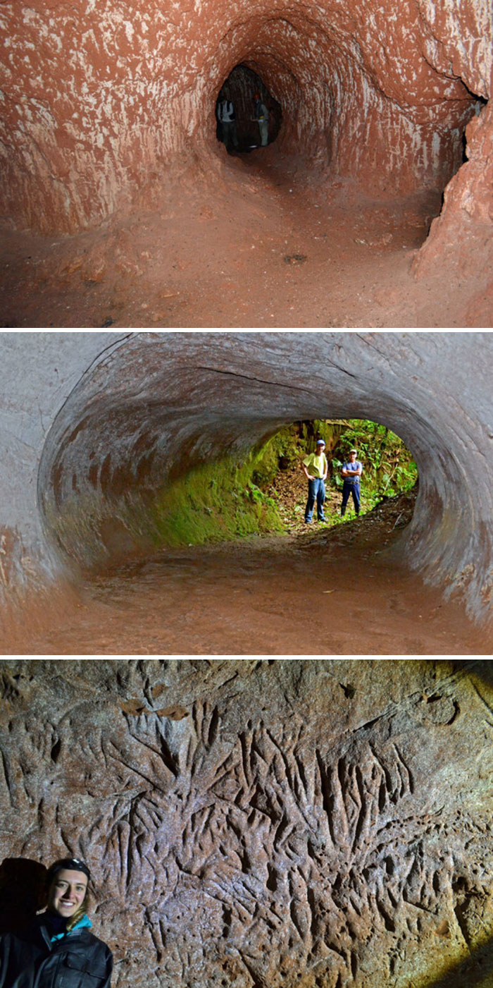These Tunnels Were Dug By A Giant Ground Sloth That Lived 10.000 Years Ago In Brazil. The Third Photo Are The Claw Marks