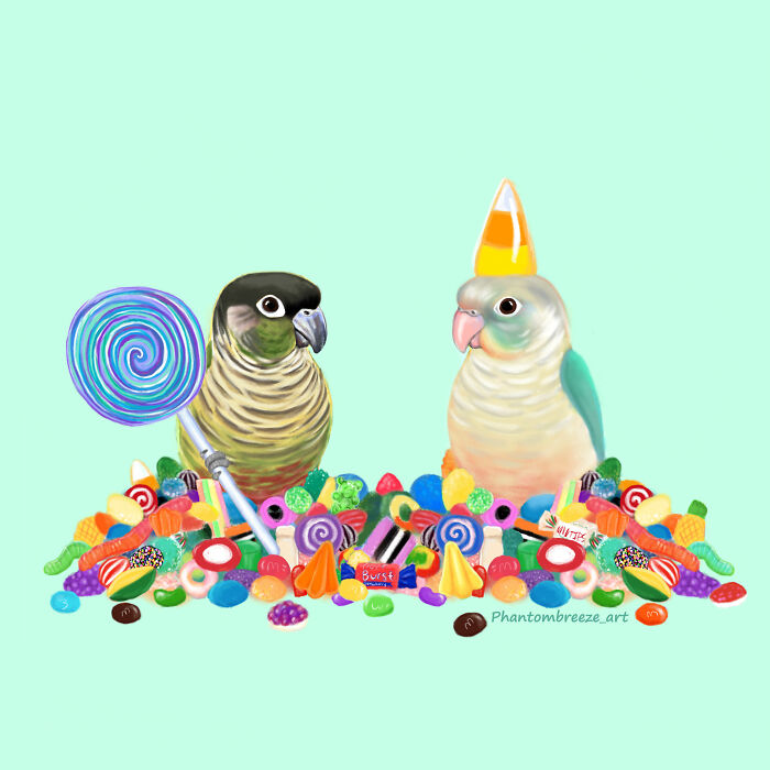 Candy Conures