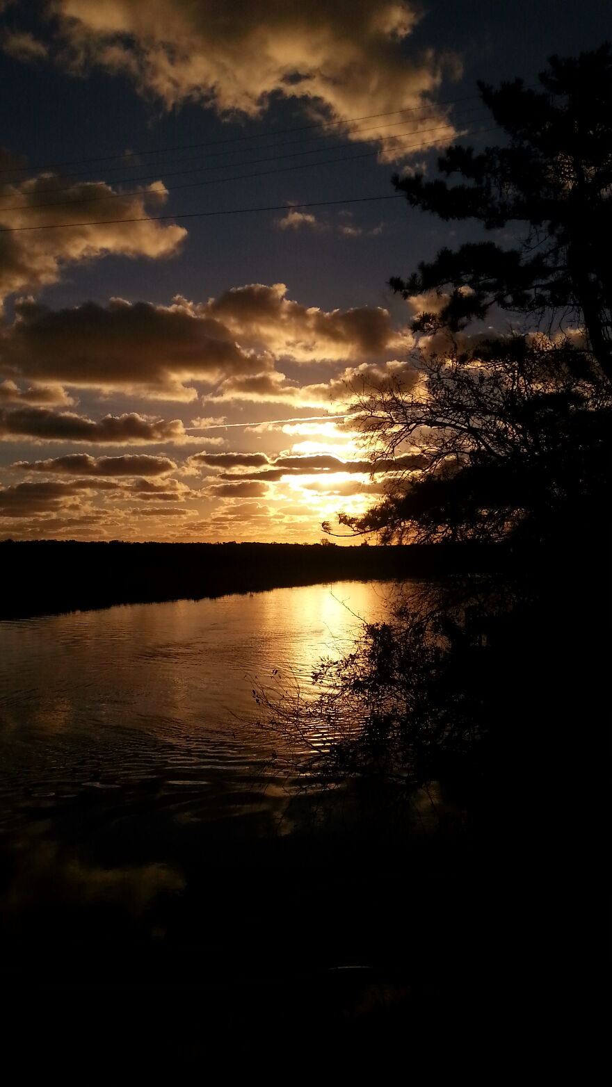 A Golden Morning. Lewes, Delaware