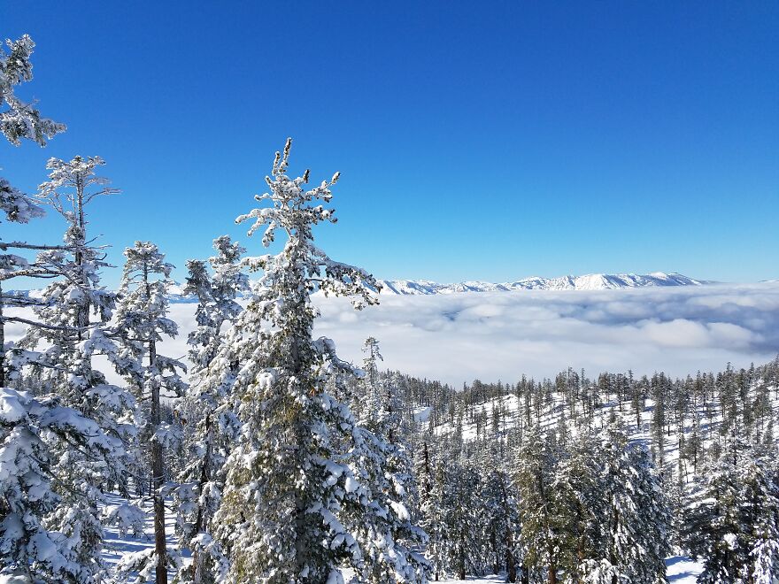 Skiing Above The Clouds, Tahoe, Ca