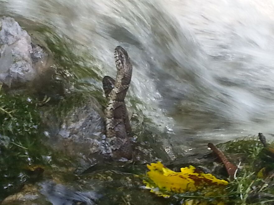 A Day In Smyrna Delaware