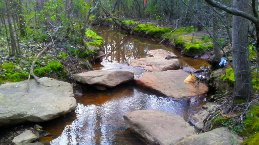 My Secret Private Rock Beach, Underwater Cave And 4 Creeks That Make Islands In My Woods. There's Also Jack, The Smiling Tree Burl.