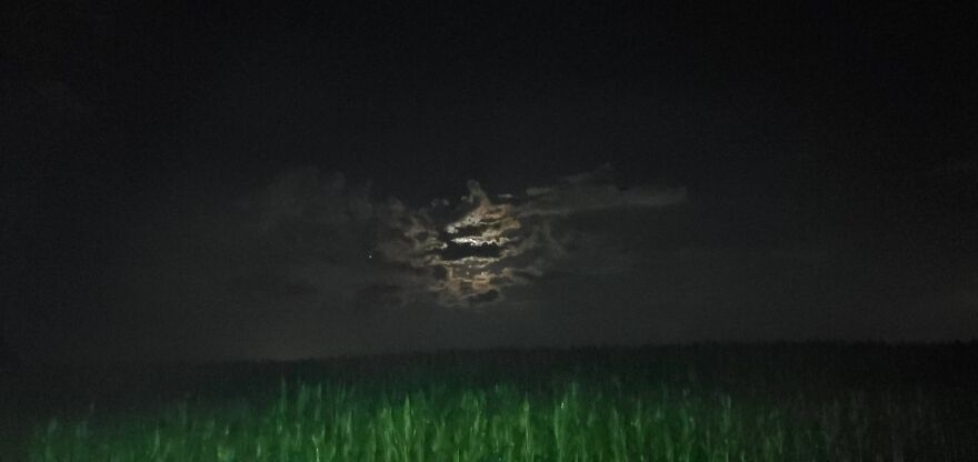 Saying Goodbye Rip Nicole