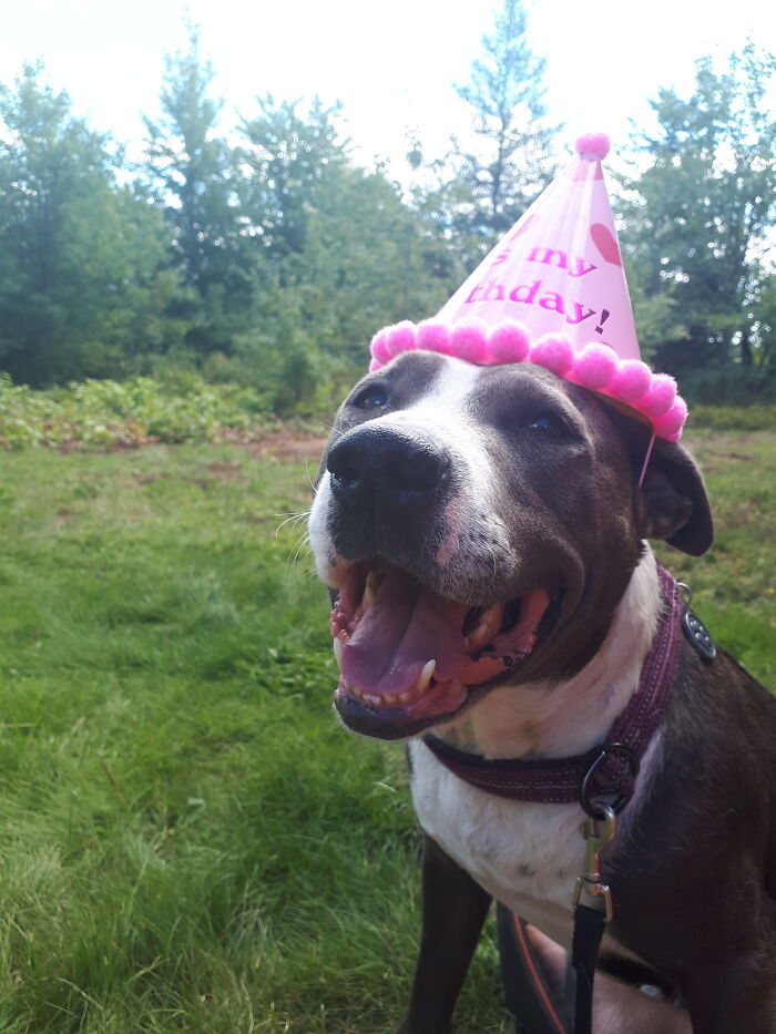Layla - She's A Real Party Girl!