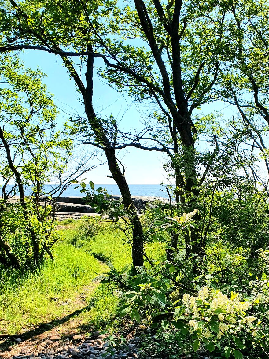 Sunny Day By The Sea