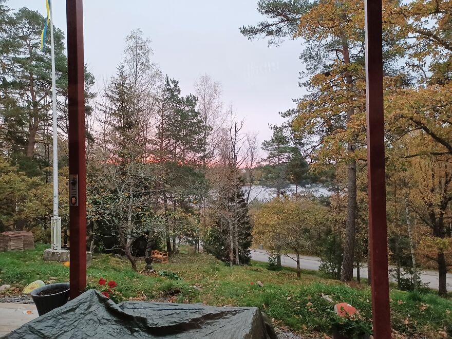 The View From My Porch