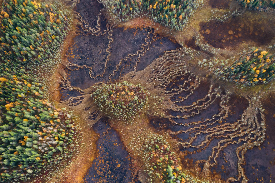 Landscapes, Waterscapes, And Flora Finalist - "Oasis" By Nicolas Raspiengeas