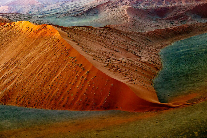 Landscapes, Waterscapes, And Flora Finalist - "Behind The Veil" By Nell Dickerson