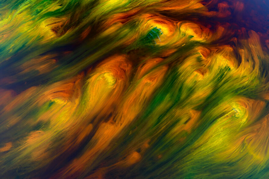 Art Of Nature Finalist - "Abstract Painting" By Sergio Tapia