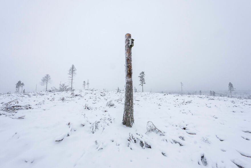 Human And Nature Finalist - "Greenwashing" By Marcus Westberg