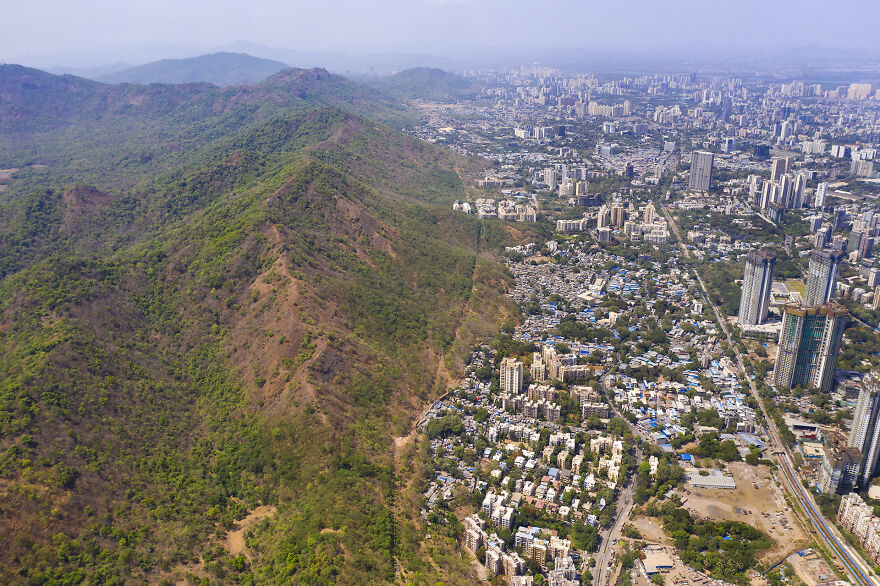 Photo Story: Taking Action Winner - "Coexistence With Predators 1/6" By Nayan Khanolkar