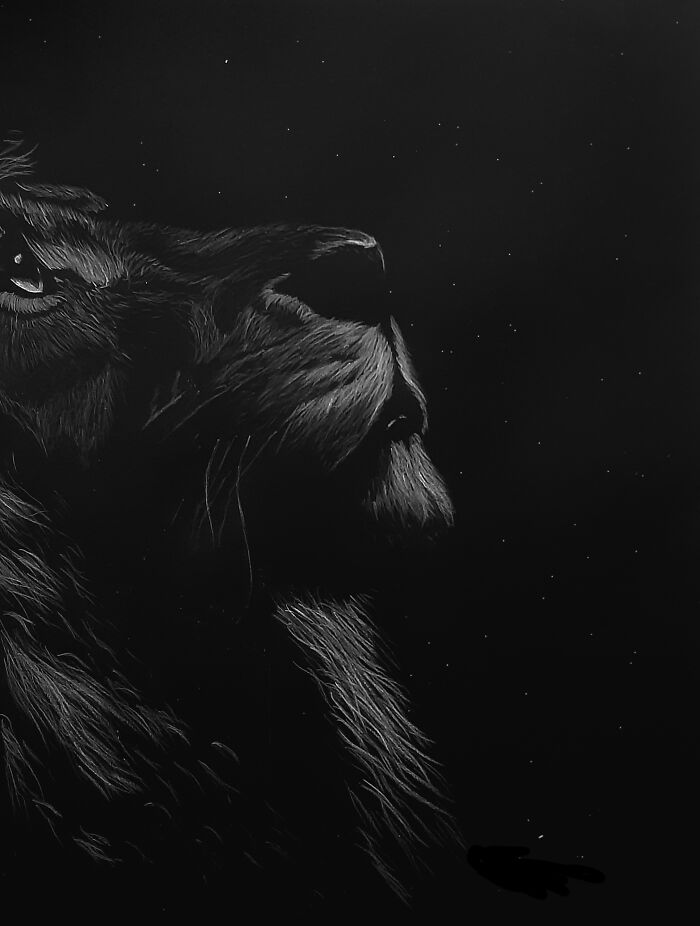 Lol, B4 Anyone Asks It Isnt Digital It Is White Pencil On Black Paper