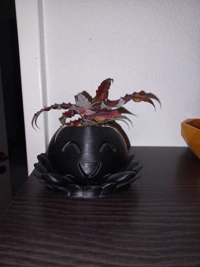 My BF 3D-Printed This For Me 🥰