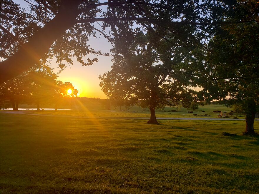 View From My Front Porch, Tx