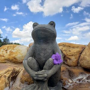 noone-yuno-lives-here avatar