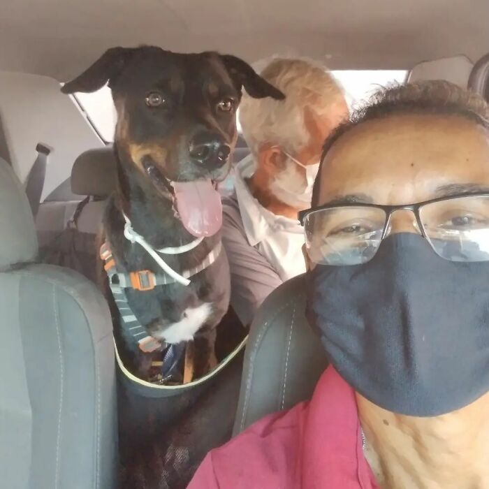 Meet Hamilton, The Driver Who Takes Selfies With His Animal Passengers (40 Pics)