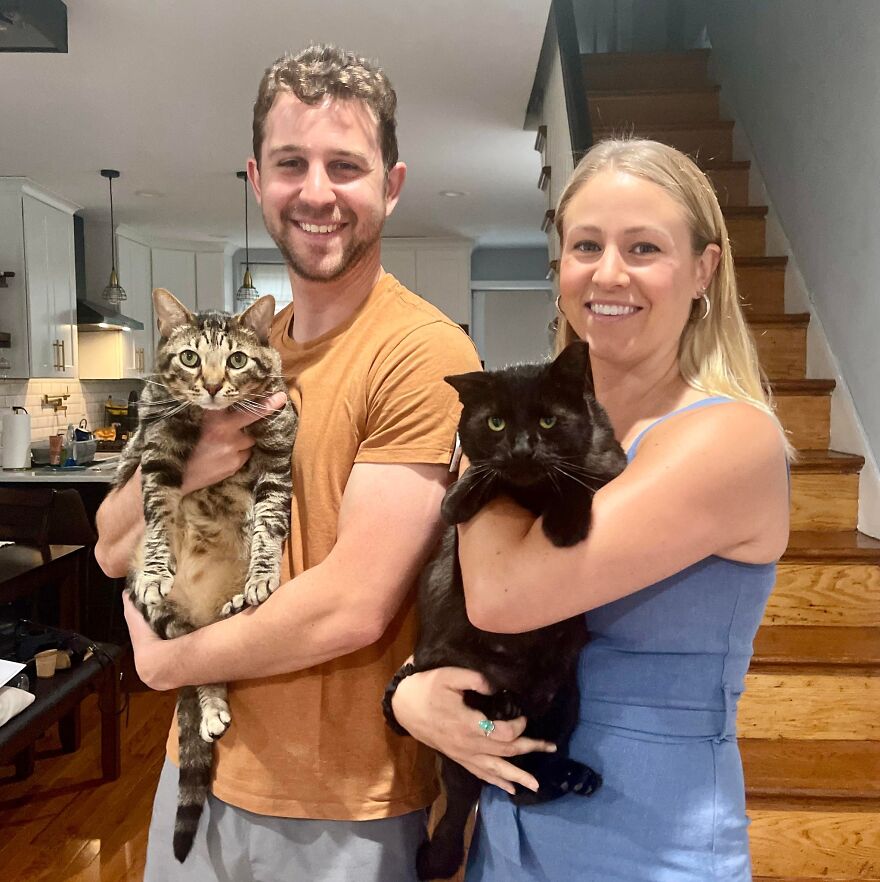 Cat Gets Attacked By Two Dogs, Survives, And Finds His Forever Home With The Veterinarian Who Saved Him