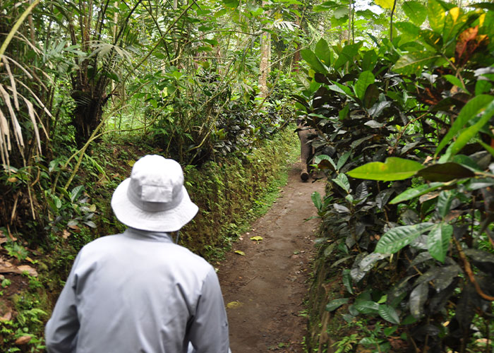 Indonesia Is Planning To Offer A Special Visa To Remote Workers, Allowing Them To Stay There For 5 Years Tax-Free, Including The Dream Destination, Bali Indonesia Is Planning To Offer A Special Visa To Remote Workers, Allowing Them To Stay There For 5 Years Tax-Free, Including The Dream Destination, Bali