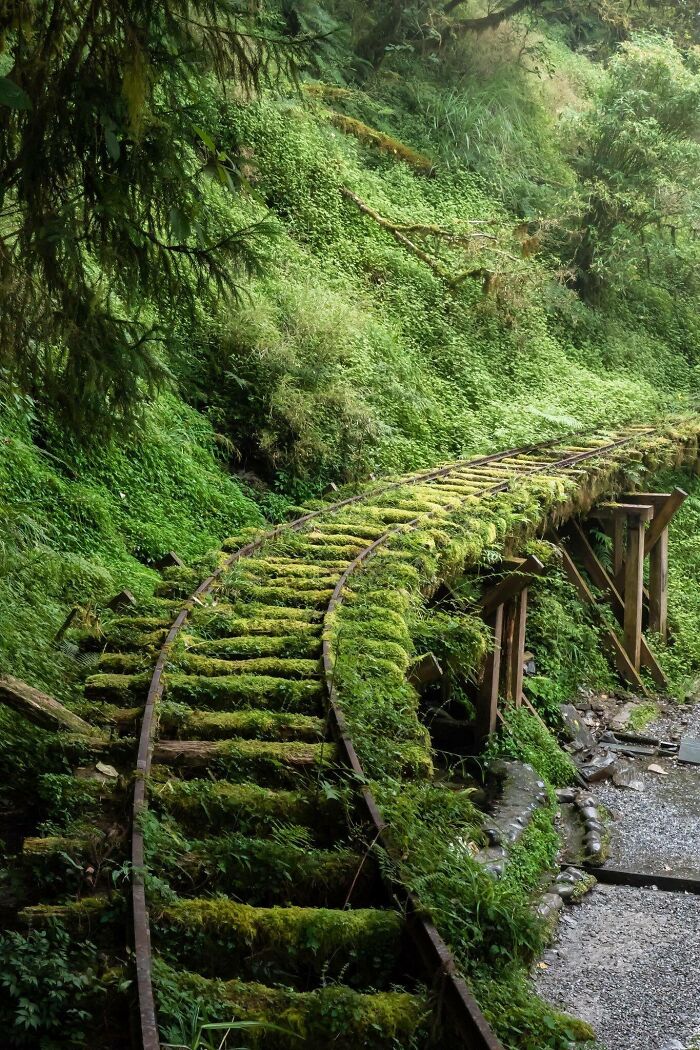 An Abandoned Railway In Taiwan