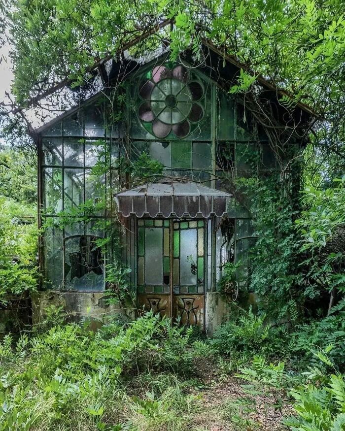 Abandoned Beautiful Greenhouse