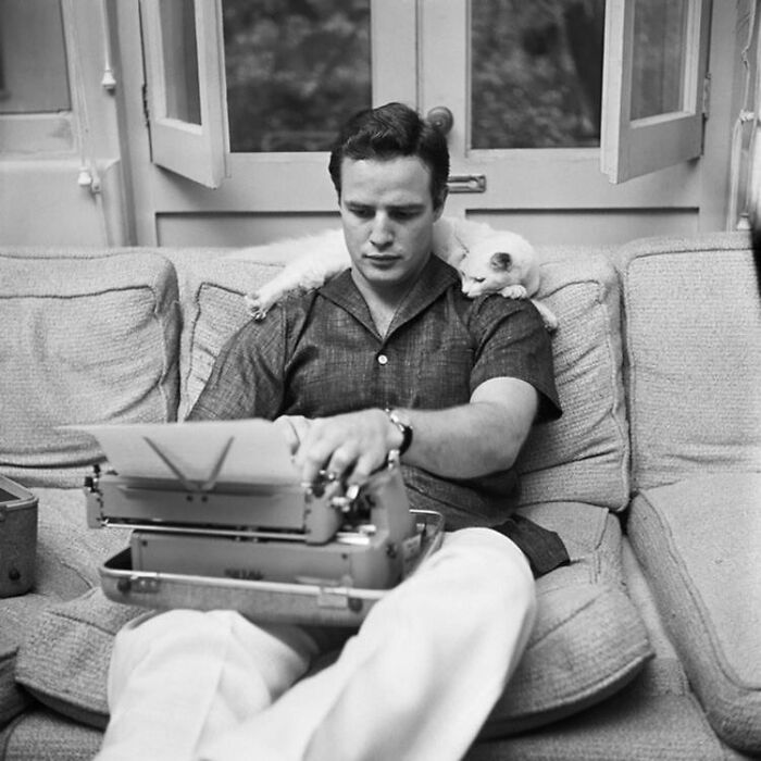 Marlon Brando escribiendo a máquina con su gato, 1954