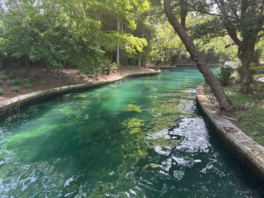 Waking To Universal From Hard Rock Hotel