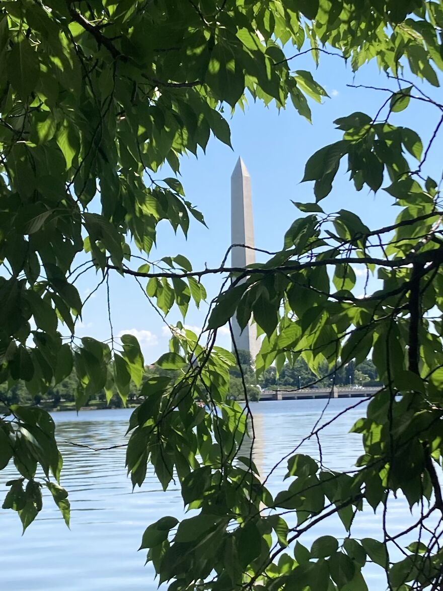 From The F.d.r Memorial In Washington D.c