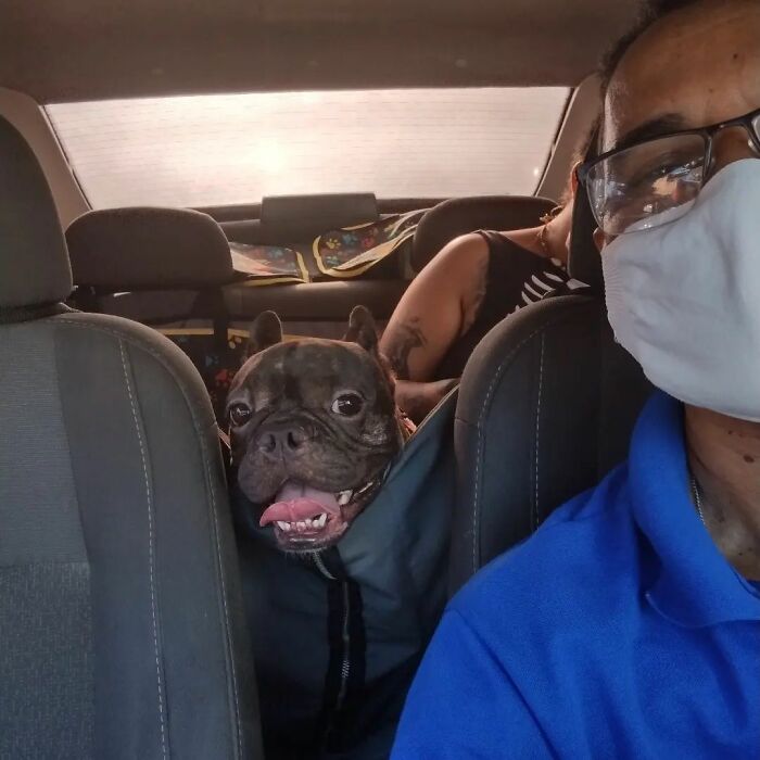 Meet Hamilton, The Driver Who Takes Selfies With His Animal Passengers (40 Pics)