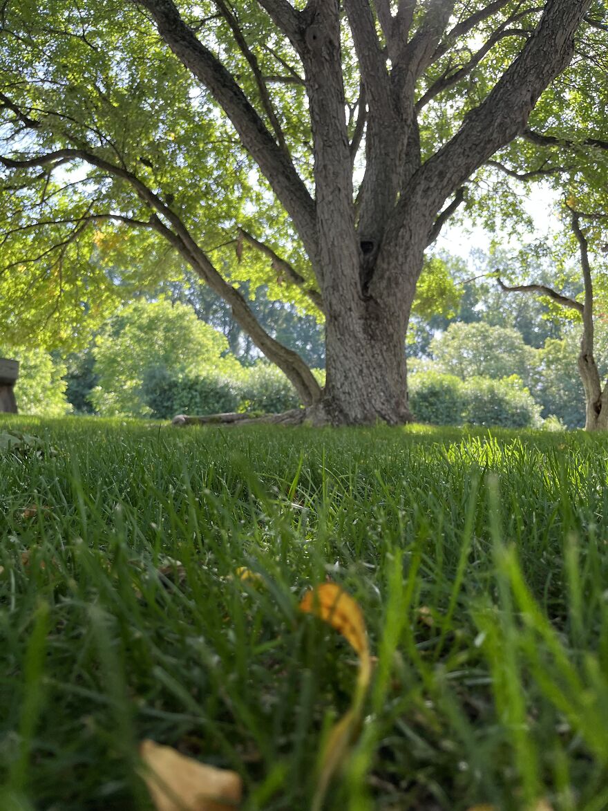 Sorry, I Had Just Had To Pick Three